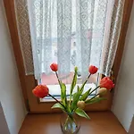 Stela Old Town With Private Parking * 코시체