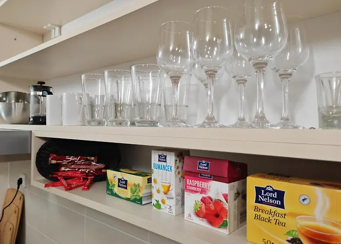 Apartment Stela Old Town With Private Parking Kosice